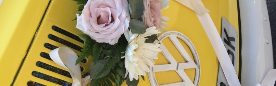 20170617_143859981_iOS